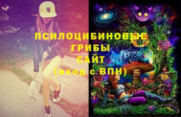 гидропоника Сатка