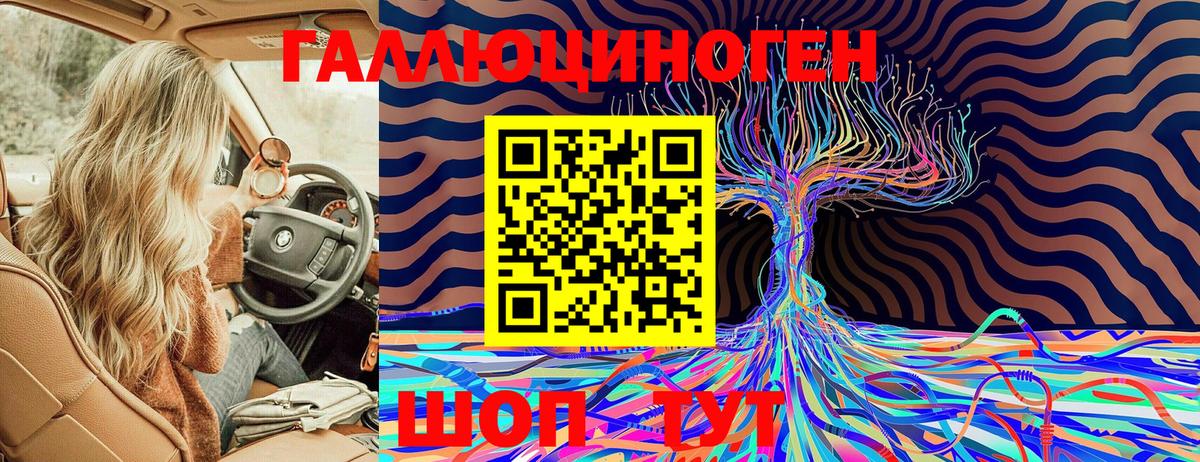 Псилоцибиновые грибы Psilocybe Реж